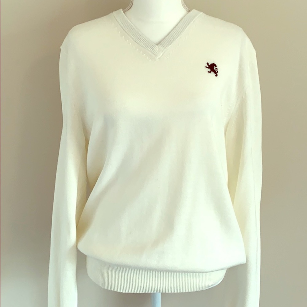 EXPRESS BRAND NEW Men’s V Neck Large Sweater